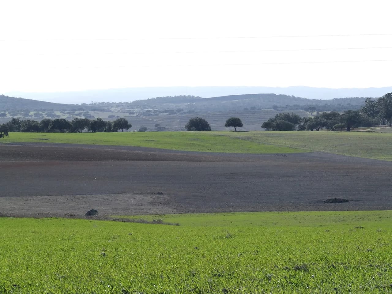 Rural landscape of Castro Verde